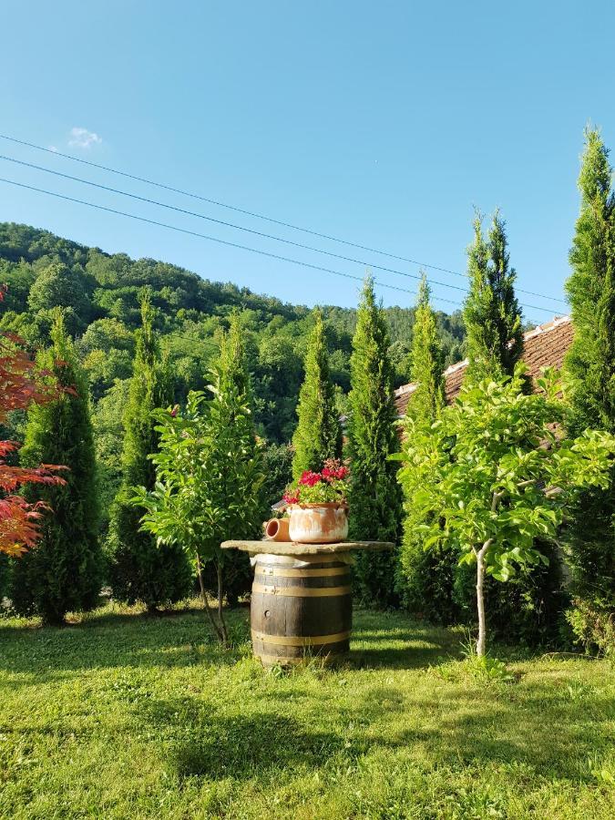 Family Hotel Chiflik Hills Extérieur photo